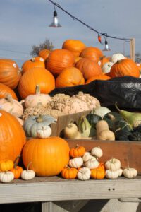 2013 Autumnn Hero Festival Img 0180