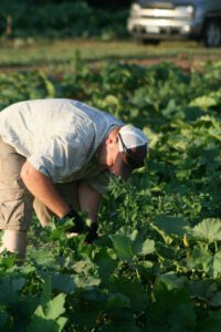 2013 Pumpkin Patch 13