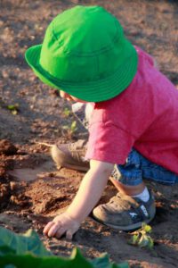 2013 Pumpkin Patch 14