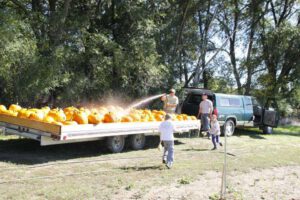 2013 Pumpkin Patch 18