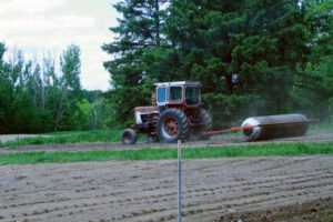 2013 Pumpkin Patch 2