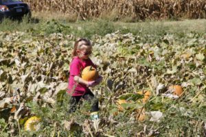 2013 Pumpkin Patch 20