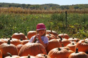 2013 Pumpkin Patch 22