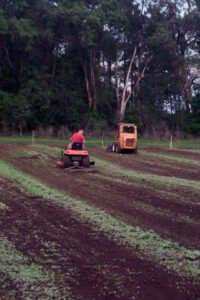 2013 Pumpkin Patch 9