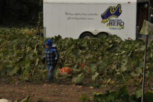 2014 Pumpkin Harvest Image003.jpg