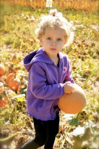2015 Pumpkin Harvest Dsc 2395