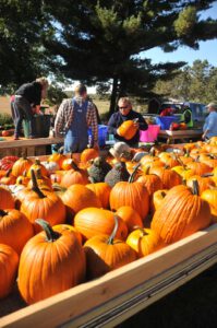 2015 Pumpkin Harvest Dsc 2437