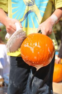 2015 Pumpkin Harvest Dsc 2486