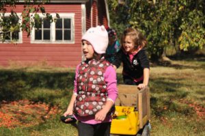 2015 Pumpkin Harvest Dsc 2487