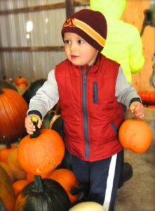 2015 Pumpkin Harvest Dsc 2513