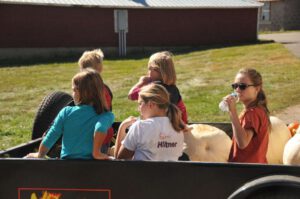 2015 Pumpkin Harvest Dsc 2522