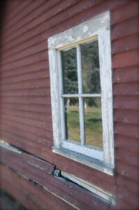 2015 Pumpkin Harvest Dsc 2557