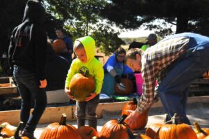 2015 Pumpkin Harvest Dsc 2568