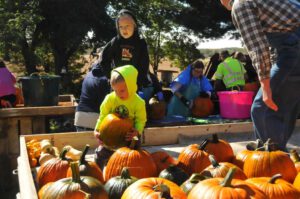 2015 Pumpkin Harvest Dsc 2569