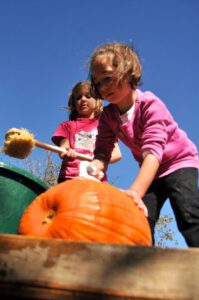 2015 Pumpkin Harvest Dsc 2574