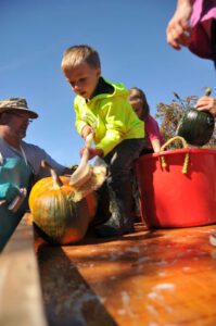 2015 Pumpkin Harvest Dsc 2600