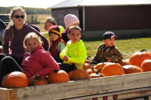 2015 Pumpkin Harvest Dsc 2633