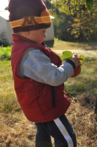 2015 Pumpkin Harvest Dsc 2787