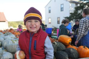 2015 Pumpkin Harvest Dsc 2812