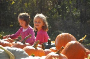 2015 Pumpkin Harvest Dsc 2827