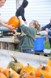 2015 Pumpkin Harvest Dsc 2866