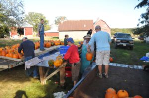 2015 Pumpkin Harvest Dsc 2877