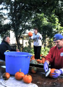 2015 Pumpkin Harvest Dsc 2912