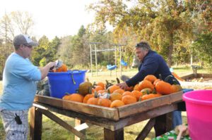 2015 Pumpkin Harvest Dsc 2953