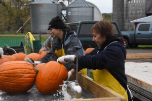 2016 Pumpkin Harvest Photos Dsc 6830