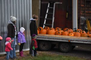 2016 Pumpkin Harvest Photos Dsc 6897