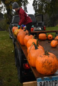 2016 Pumpkin Harvest Photos Dsc 6958