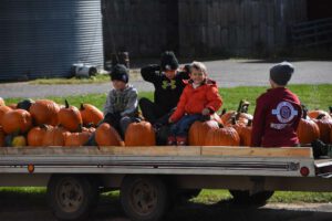 2016 Pumpkin Harvest Photos Dsc 6975