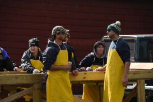 2016 Pumpkin Harvest Photos Dsc 7022