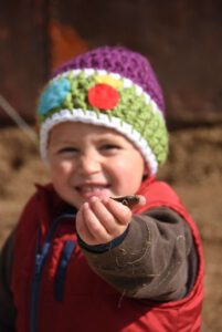 2016 Pumpkin Harvest Photos Dsc 7027