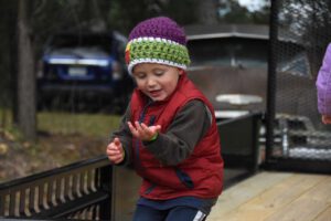 2016 Pumpkin Harvest Photos Dsc 7051