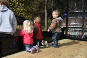 2016 Pumpkin Harvest Photos Dsc 7060