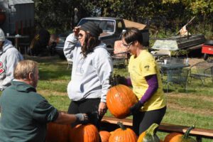 2016 Pumpkin Harvest Photos Dsc 7101