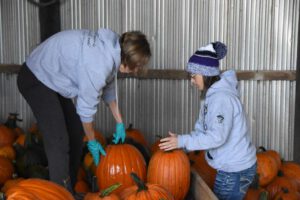 2016 Pumpkin Harvest Photos Dsc 7138