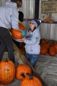 2016 Pumpkin Harvest Photos Dsc 7142