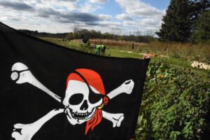 2016 Pumpkin Harvest Photos Dsc 7180