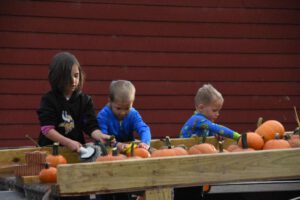 2016 Pumpkin Harvest Photos Dsc 7207