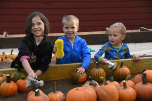 2016 Pumpkin Harvest Photos Dsc 7212