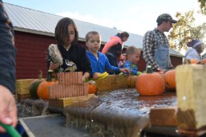 2016 Pumpkin Harvest Photos Dsc 7220