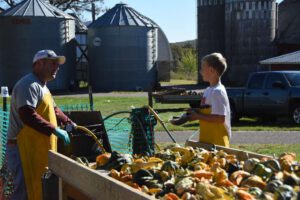 2016 Pumpkin Harvest Photos Dsc 7263