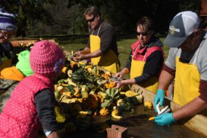 2016 Pumpkin Harvest Photos Dsc 7270