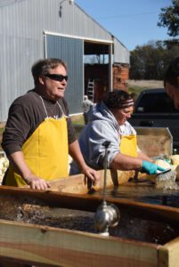 2016 Pumpkin Harvest Photos Dsc 7294