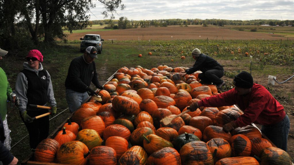 Events 2014 Pumpkinharvest Compressor